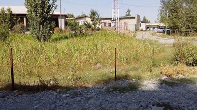 Жомбой туманида бизнес ёки уй қуриш учун бўш ер