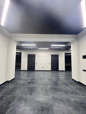 Аренда помещения ЭКО Хаус, улица Мукими 540 м²