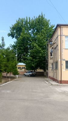 Alpinist xizmati