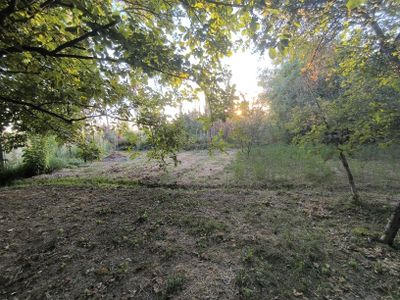 Yer Uchastkasi sotladi Yangibozor Kavardan