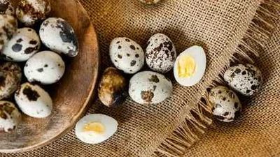 Bedana Tuxumi Яйца Перепелов Домашние – Полезные И Вкусные Продукты