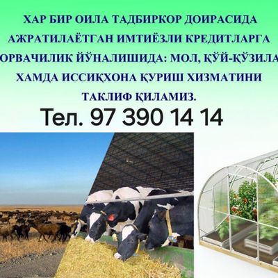 Кредитга мол куй. хохлаган махслотлар бор