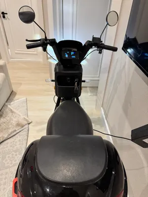 Drongo elektir sukuter