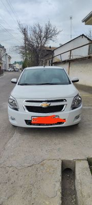 Cobolt 2024 propeg 42 ming yurgan kraska toza,