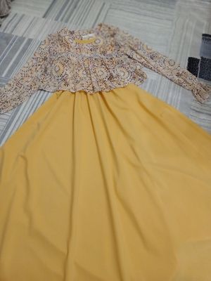 Ayollar koylagi
