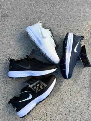 Nike Air zoom gortex