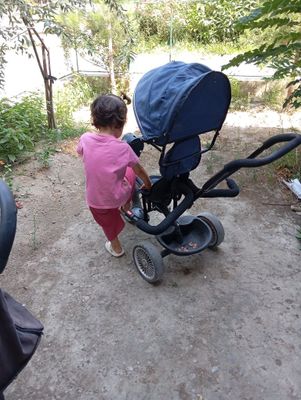 Velo kolyaska