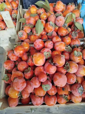 Xurmo mevasi sotiladi