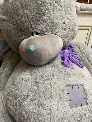 Teddy ayiq kottasidan uyda turgan holos yangi