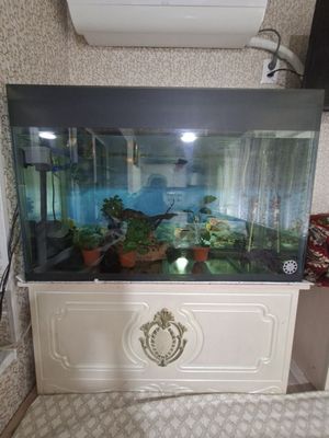 Продаётся акварюма место рыбами