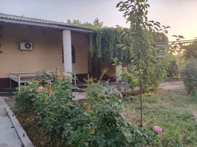 hovli