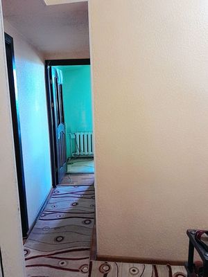 Kvartiraga sheriklikka 3 ta qiz olinadi