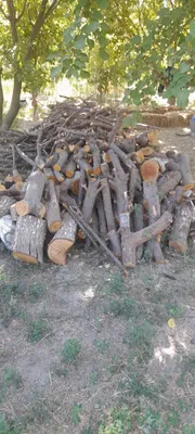 Тароша утин сотилади