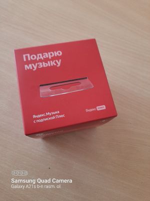 Yandex Lite. Alisa