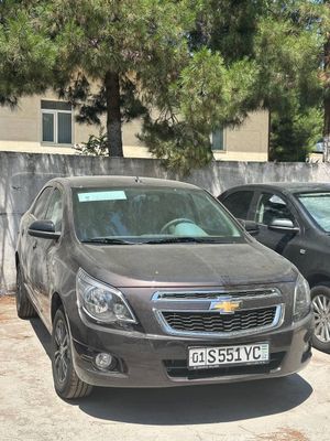Cobalt midhnigt 2025 rangi Cocuntbrunt yangi notarisuga tayyor