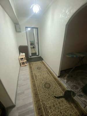 Шериклига студент киз оламан