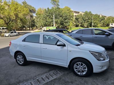 Cobalt Sotladi 1 Qo’l moshin
