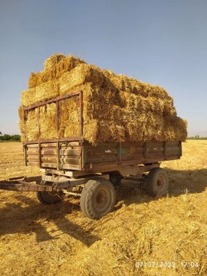 Самон прес сотилади