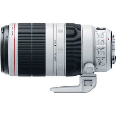 Canon EF 100-400mm f/4.5-5.6 IS II USM
