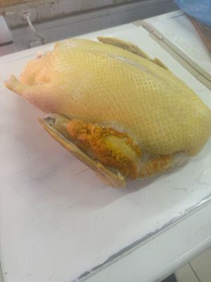 Xonaki parranda go’shtlari