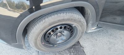 Treker 1 zapaska