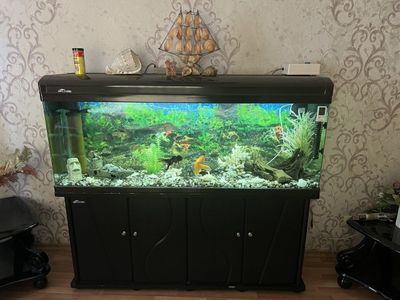 Продаётся аквариум