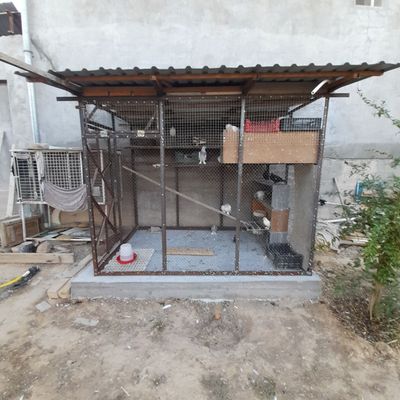 Продам Валер для Голубей Куры Попугай длина 2.5 ширина 1.6 высота 2 м