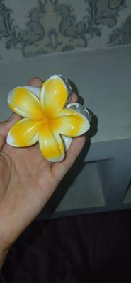 крабики для волос