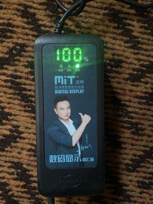 Elektirsukuter uchun zaryadchik