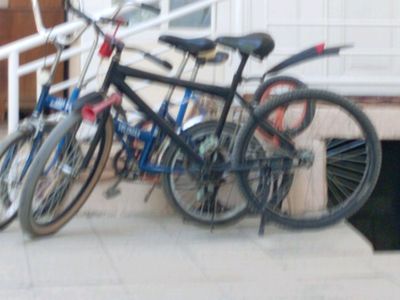 veliklar
