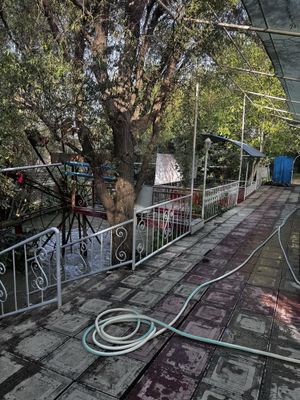 Dacha arenda suv boyida kelesda