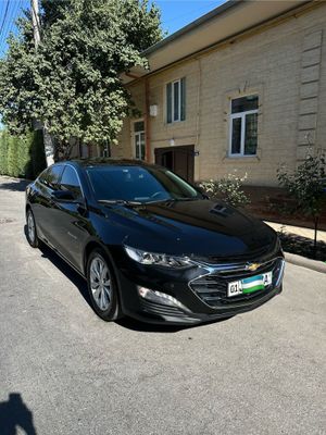 Malibu 2 premer zor