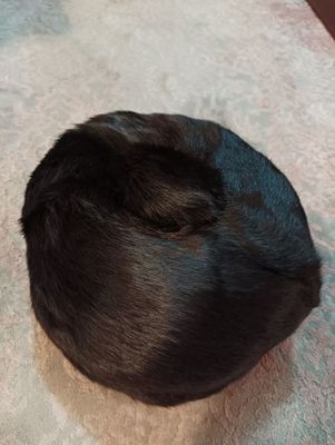 Шапка из кролика