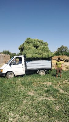 Ford sotiladi dakumentlari joyida