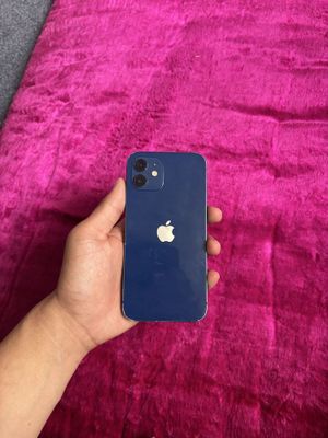 iPhone 12 64 tali