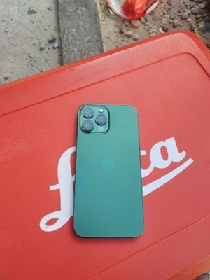 iPhone 13por max