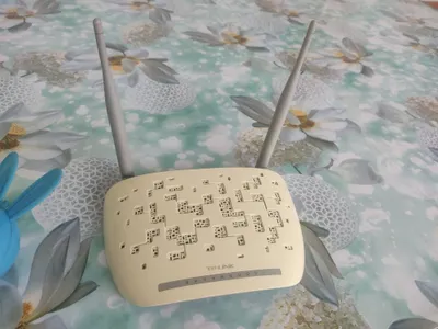 TP-LINK model TD-W8961N