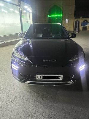Byd champion 605 km