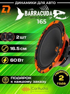 Barracuda 165 car audio