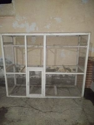 Kletkalar sotiladi