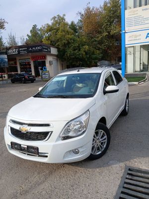 Cobalt bez probeg maslla 2025 Natarisu ichida