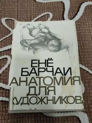 Анатомия для художников