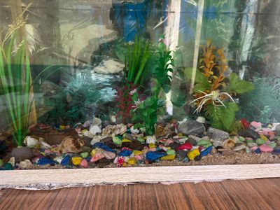 Akvarium  100 litr chigʻanoq tosh filtr bor
