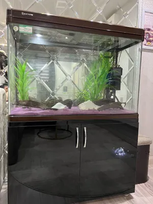 Продаю аквариум