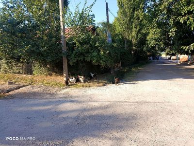 Хумсон Чинара 1 линия 6 сотих 2 хона