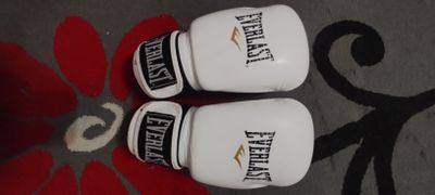 Перчатки для бокса EVERLAST