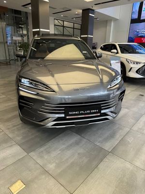 Byd chempion gibrid 2024