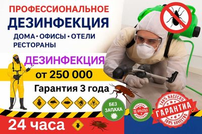 Dezinfeksiya tarakan, klapa, klop | Дезинфекция клопо таракан | DezUz