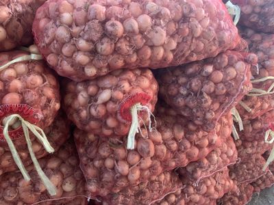 Лук мелкие по самой низкой цене