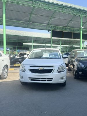 Cobalt stule plus 2025-25